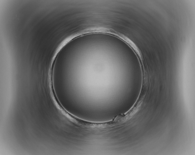 X0000115321389200911091148