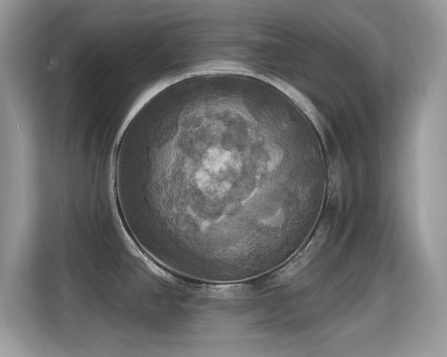 X0000115321390200911091148
