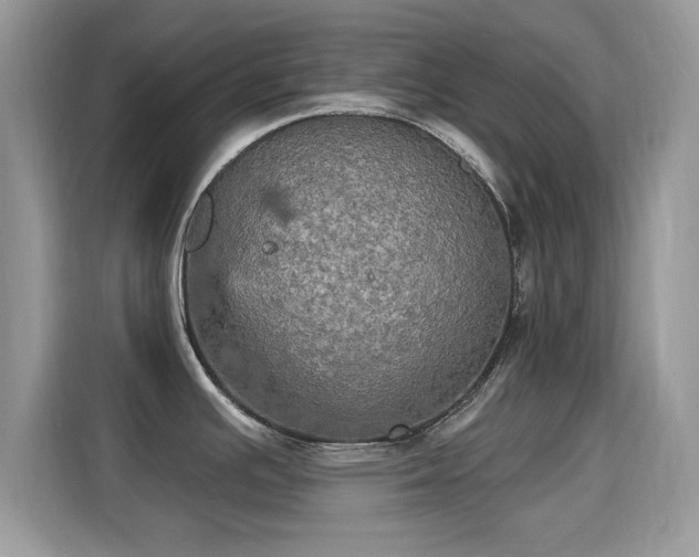 X0000115321391200911091148