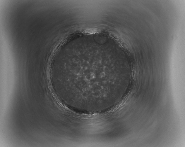 X0000115321393200911091147