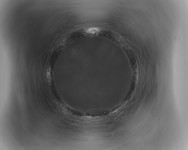 X0000115321394200911091147