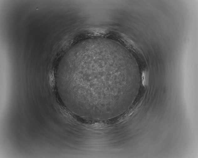 X0000115321395200911091147
