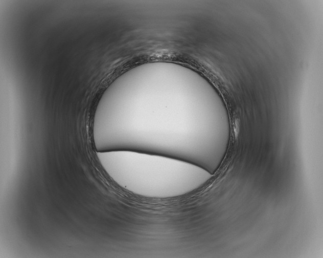 X0000115321396200911091147