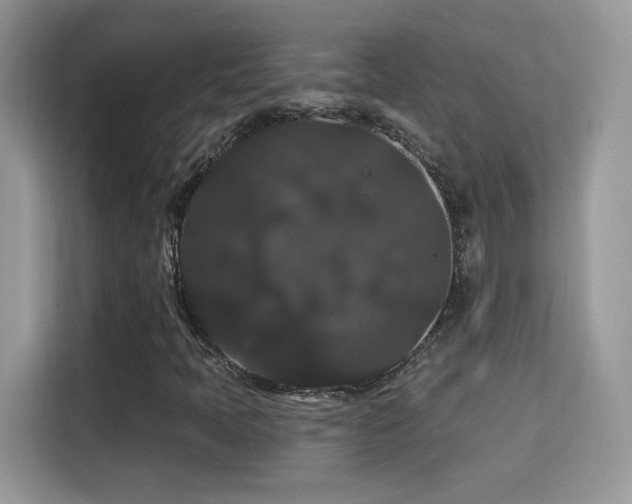 X0000115321397200911091147