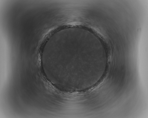 X0000115321398200911091147