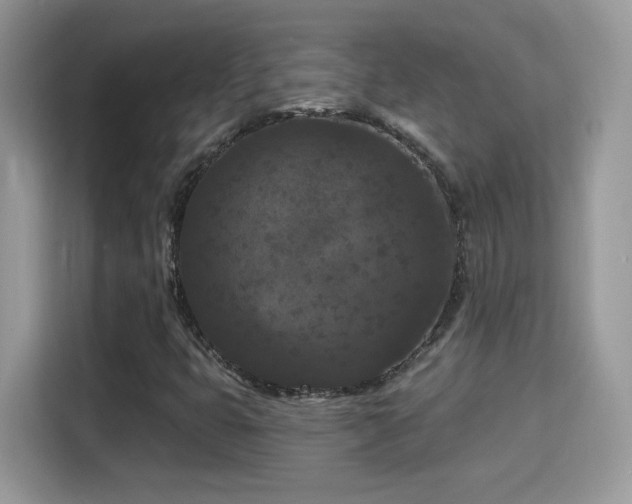 X0000115321399200911091147