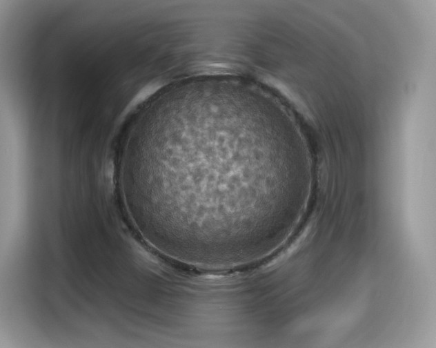 X0000115321402200911091147