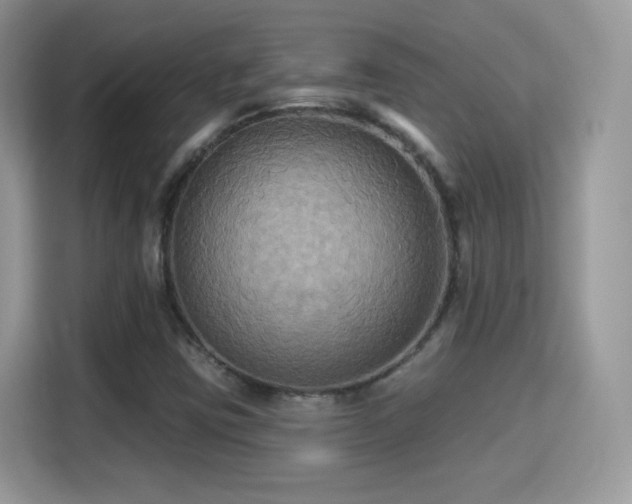 X0000115321403200911091147