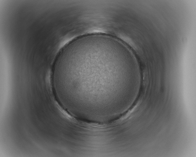 X0000115321404200911091147