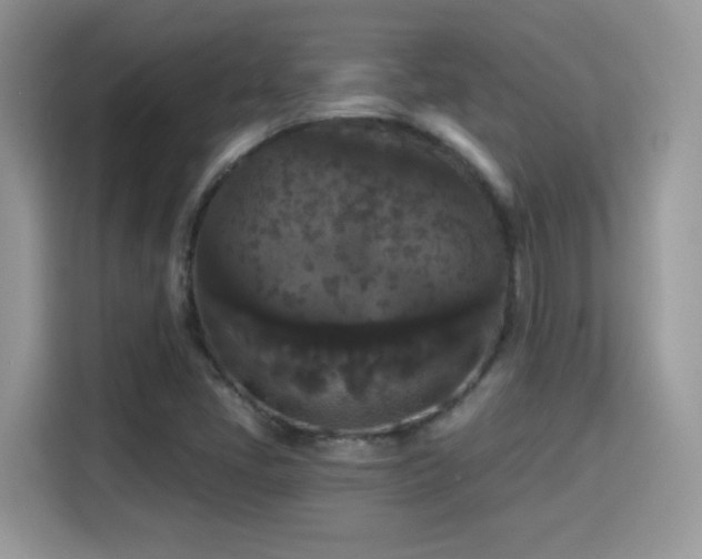 X0000115321405200911091147