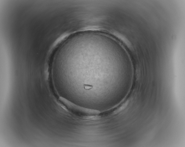 X0000115321406200911091148