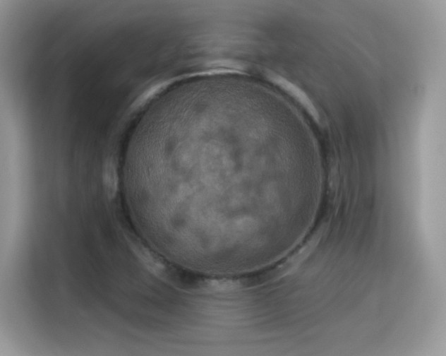 X0000115321407200911091148