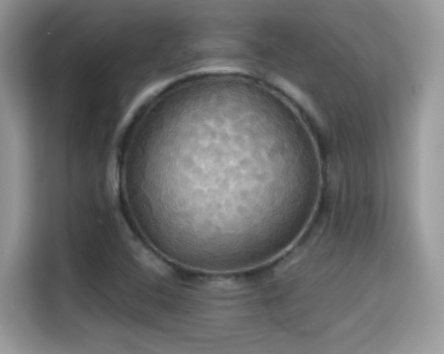 X0000115321408200911091148