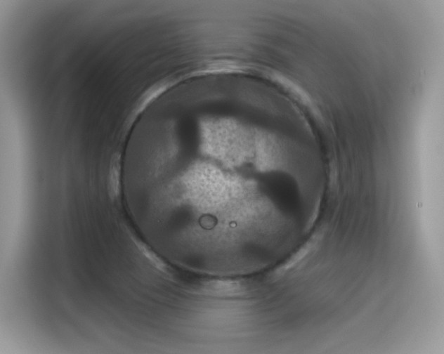 X0000115321409200911091148
