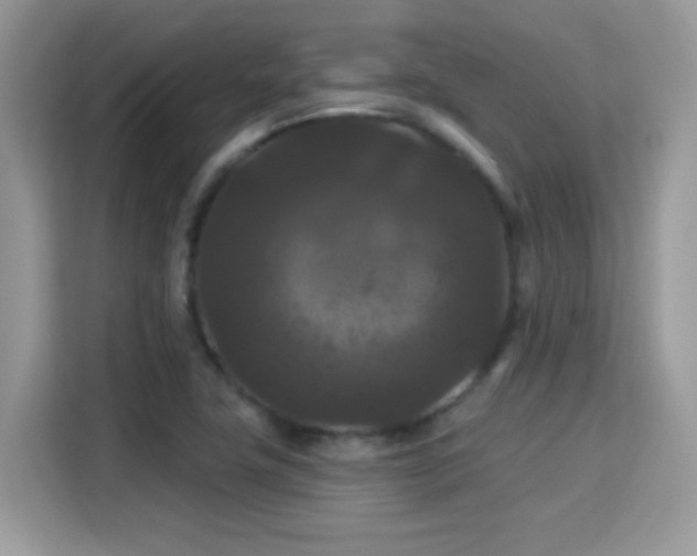X0000115321411200911091148