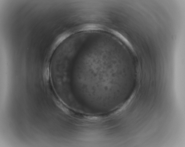 X0000115321413200911091148