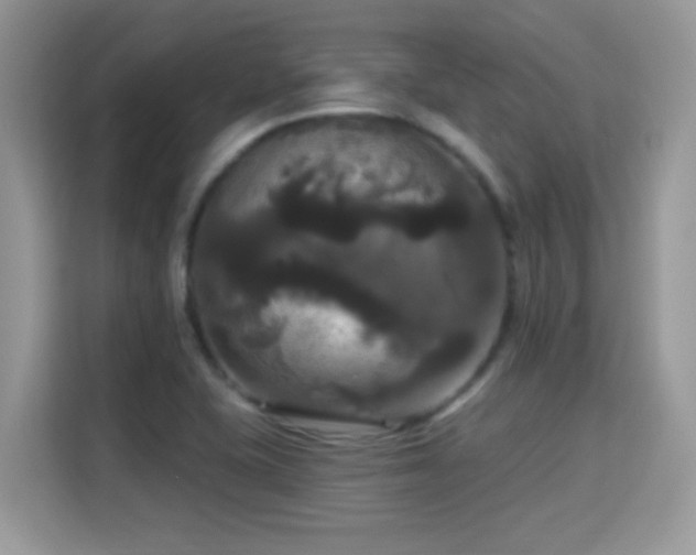 X0000115321415200911091148