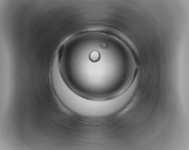 X0000115321417200911091148