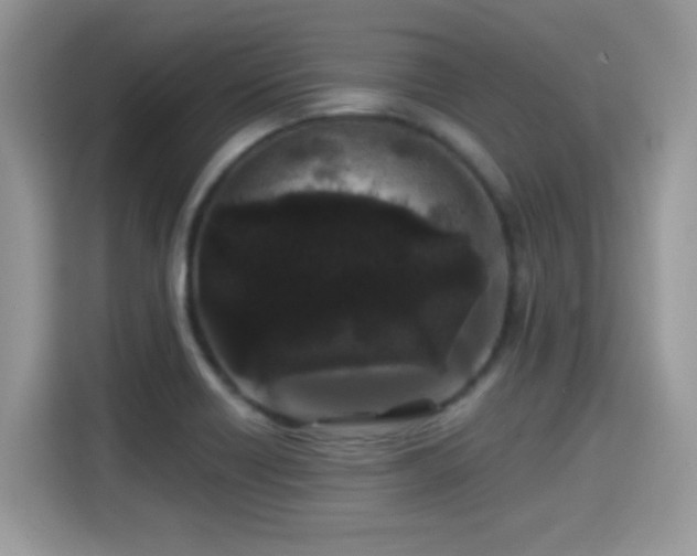 X0000115321418200911091148