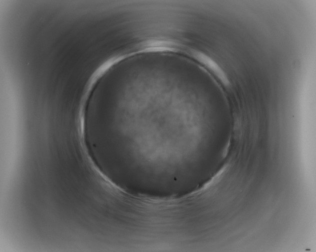X0000115321419200911091148