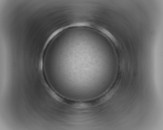 X0000115321420200911091148
