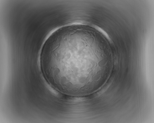 X0000115321423200911091148
