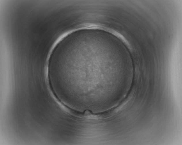 X0000115321424200911091148