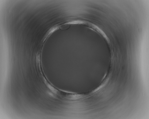 X0000115321425200911091148