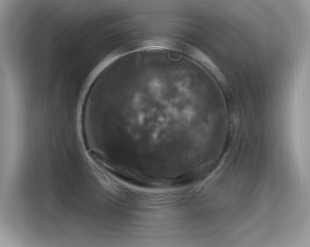 X0000115321427200911091148
