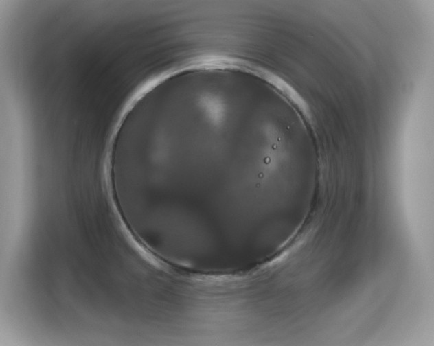 X0000115321429200911091148