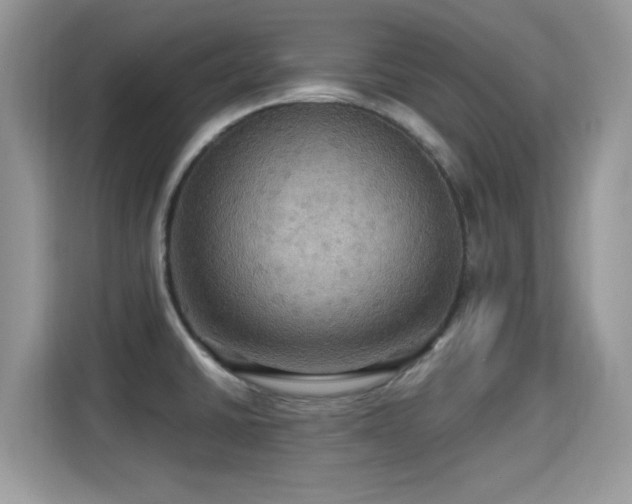 X0000115321430200911091148