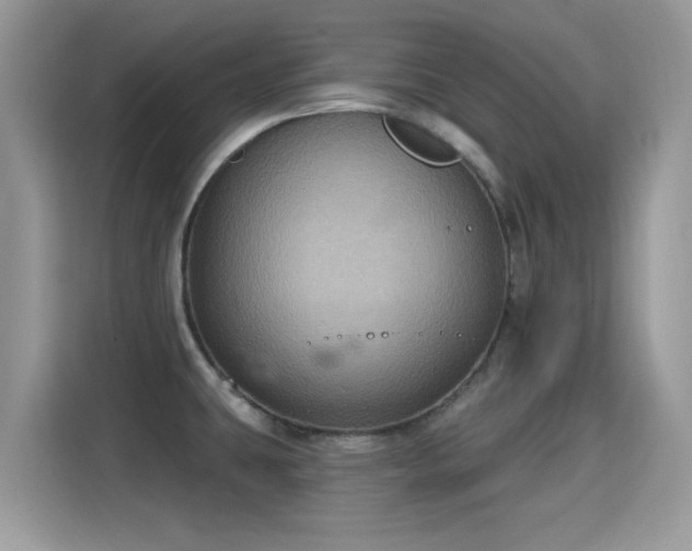 X0000115321431200911091148