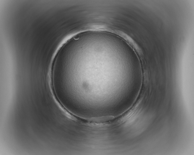 X0000115321432200911091148