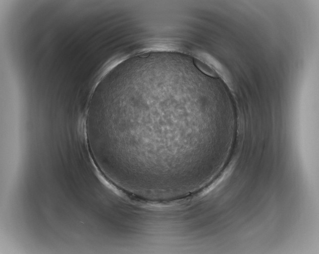 X0000115321433200911091148