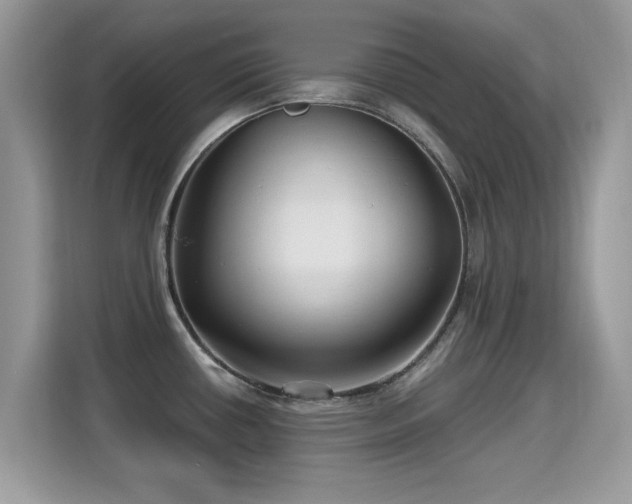 X0000115321434200911091148