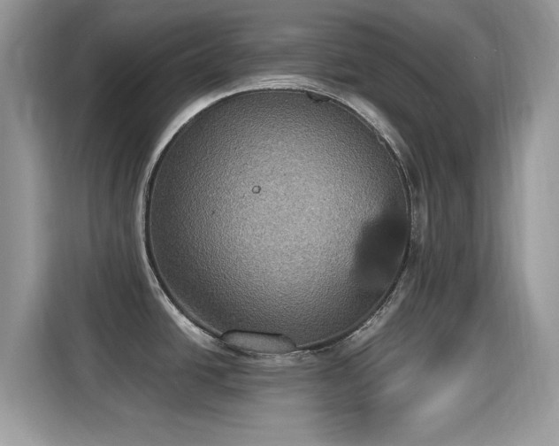 X0000115321438200911091148