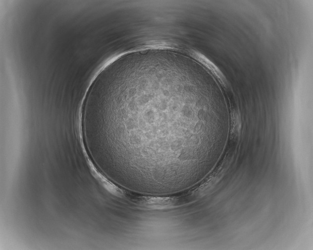 X0000115321439200911091148