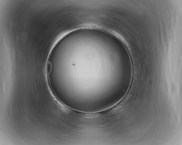 X0000115321440200911091148
