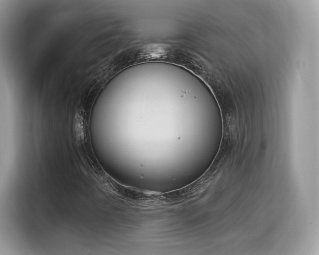 X0000115321442200911091147