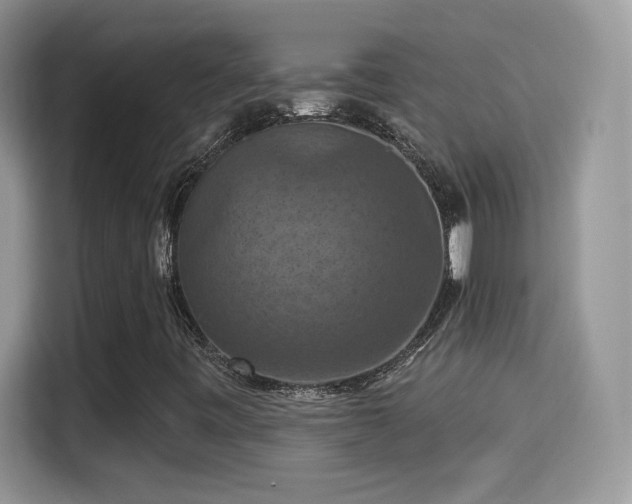 X0000115321443200911091147