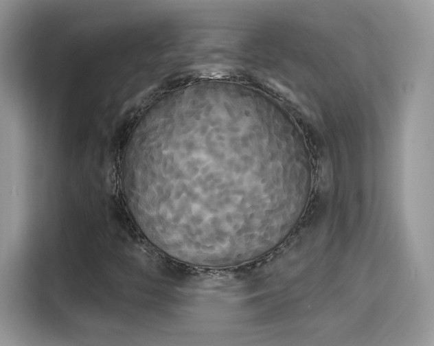 X0000115321446200911091147