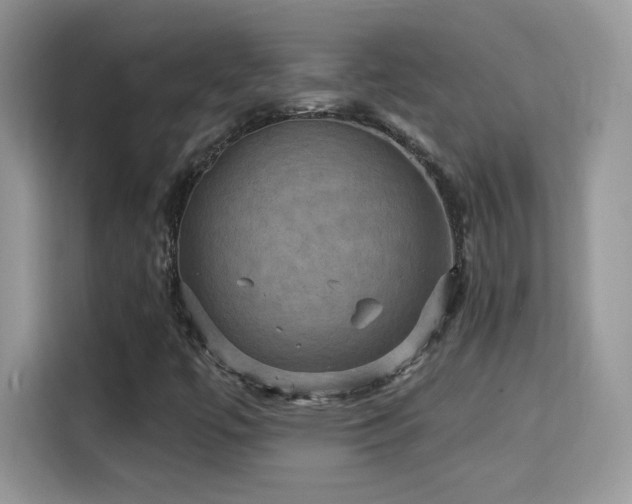 X0000115321447200911091147