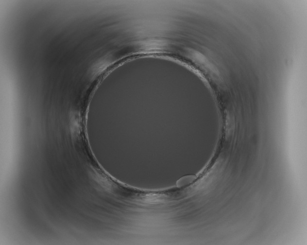 X0000115321449200911091147