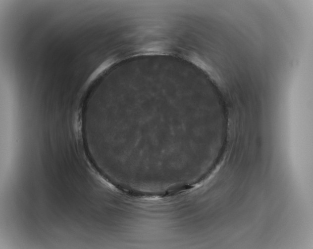 X0000115321450200911091147