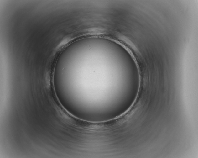 X0000115321451200911091147