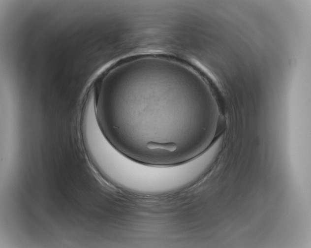 X0000115321452200911091147