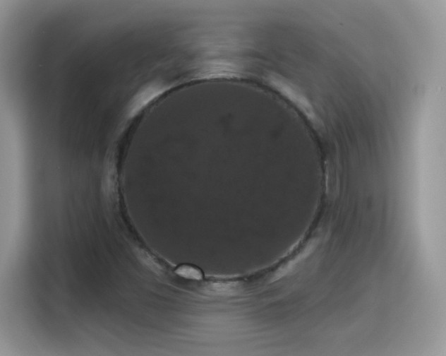 X0000115321453200911091147
