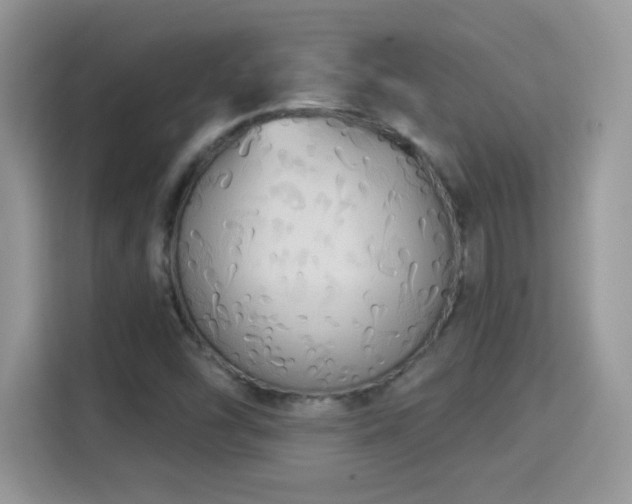X0000115321454200911091147
