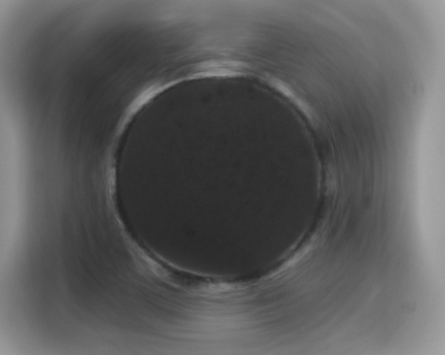 X0000115321459200911091147