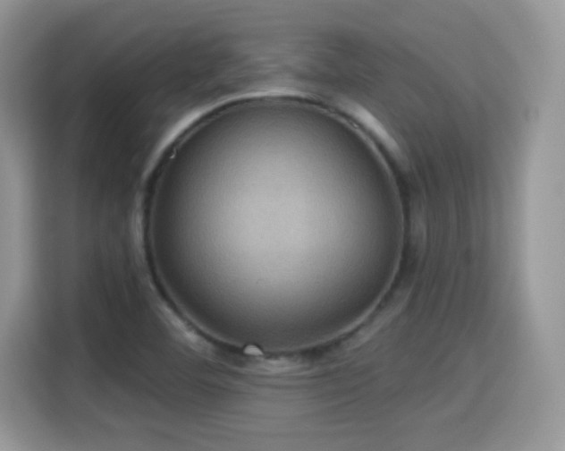 X0000115321460200911091147